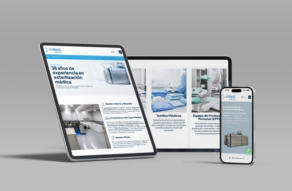 paginas web en monterrey